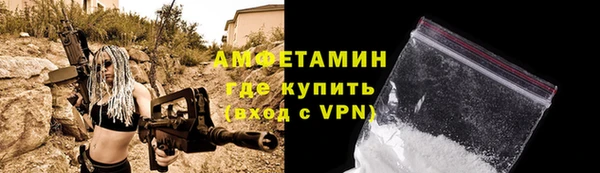 хмурый Ельня
