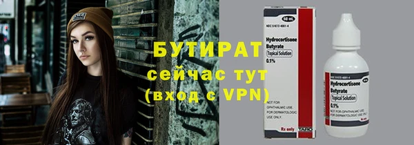 хмурый Ельня