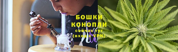 сатива Пестово