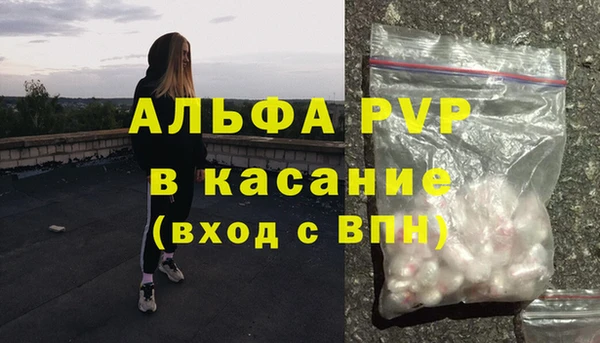 сатива Пестово