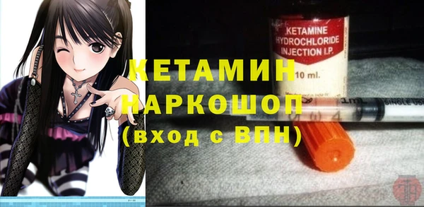хмурый Ельня