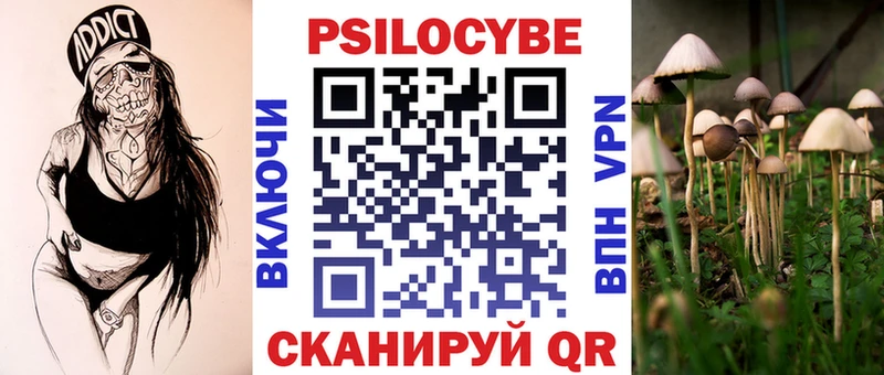 Галлюциногенные грибы Psilocybe  Нефтегорск 